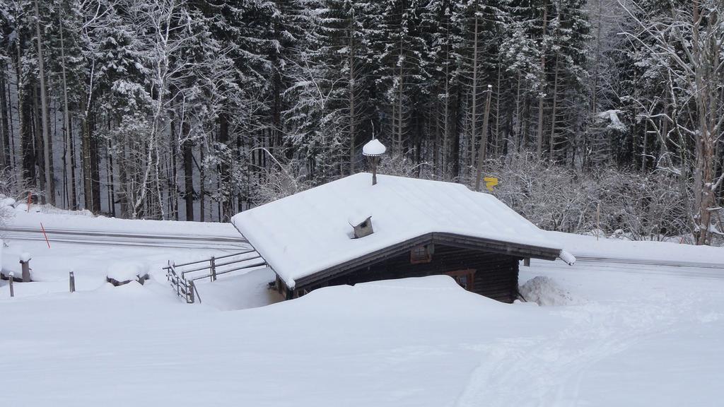 Almbruennerl Die Almhuette Auf Der Raffner Alm Ruhpolding Chambre photo